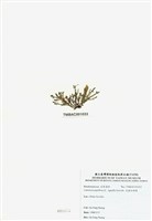 藏品(乳頭軟骨凹頂藻)的圖片